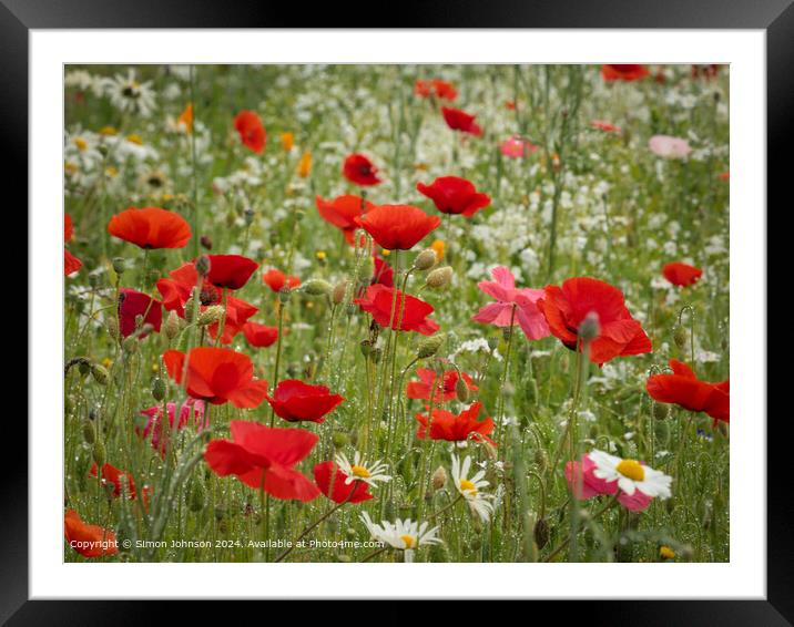 Summer Poppies  Meadow Cotswolds Framed Mounted Print by Simon Johnson