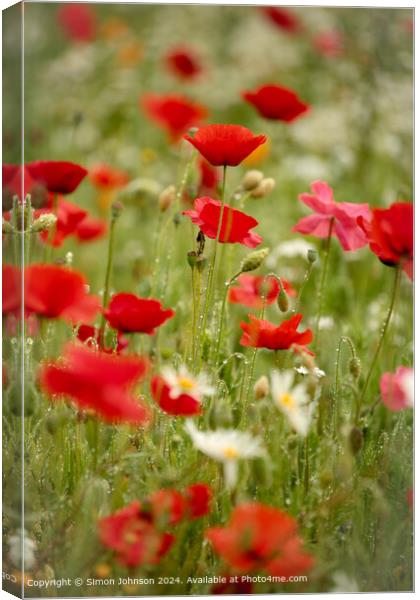 Cotswolds Meadow Poppies Canvas Print by Simon Johnson