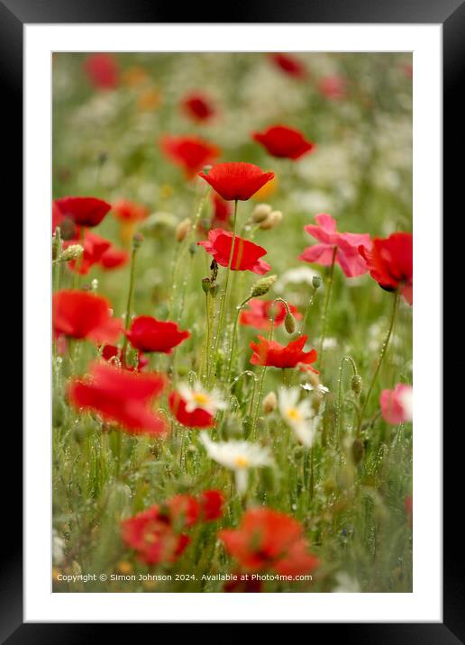 Cotswolds Meadow Poppies Framed Mounted Print by Simon Johnson