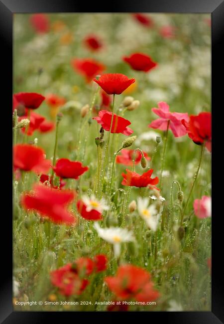 Cotswolds Meadow Poppies Framed Print by Simon Johnson