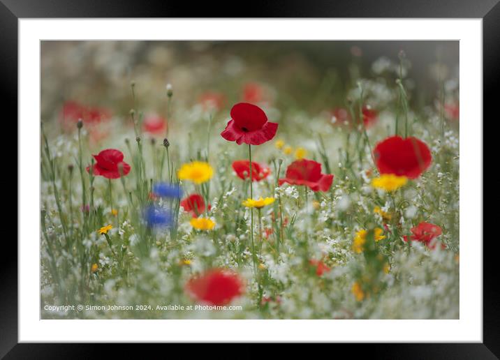 Vibrant Wildflower Meadow, Cotswolds, UK Framed Mounted Print by Simon Johnson