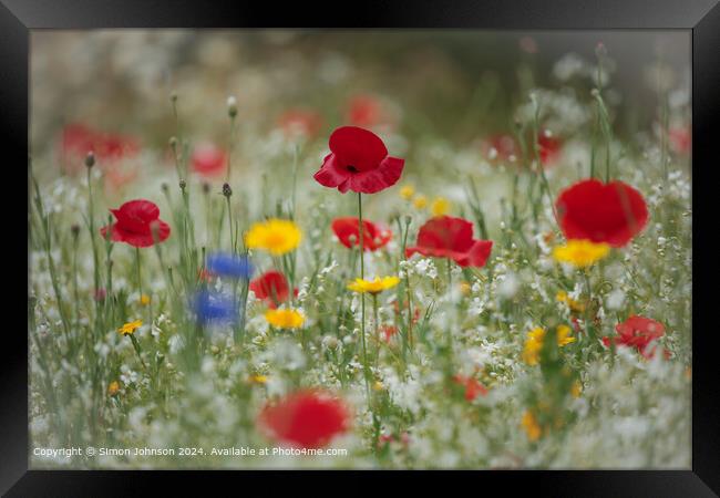 Vibrant Wildflower Meadow, Cotswolds, UK Framed Print by Simon Johnson