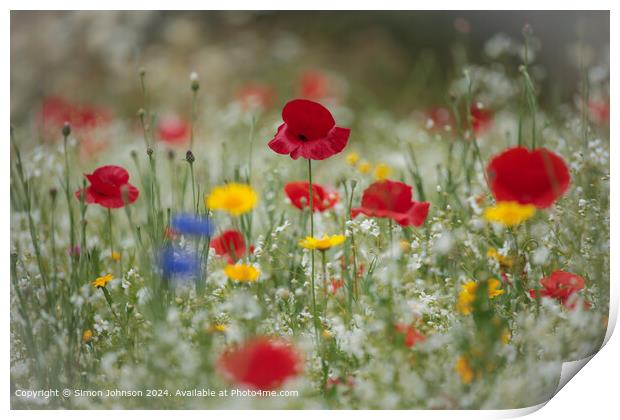 Vibrant Wildflower Meadow, Cotswolds, UK Print by Simon Johnson