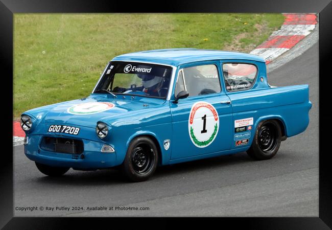 Blue Ford Anglia Racing Framed Print by Ray Putley
