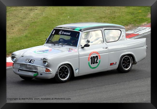 Grey Ford Anglia Racing Framed Print by Ray Putley