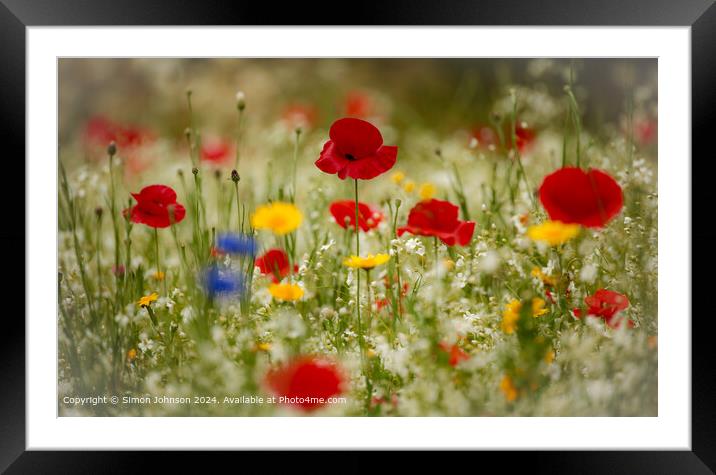 Cotswolds Meadow Poppies Framed Mounted Print by Simon Johnson