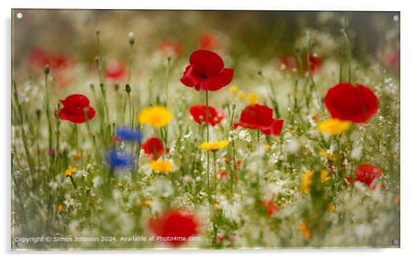 Cotswolds Meadow Poppies Acrylic by Simon Johnson