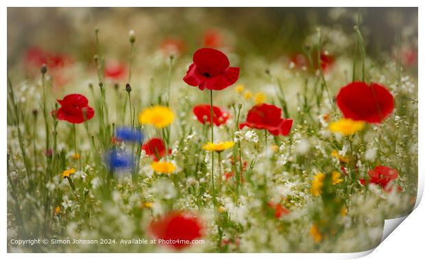 Cotswolds Meadow Poppies Print by Simon Johnson