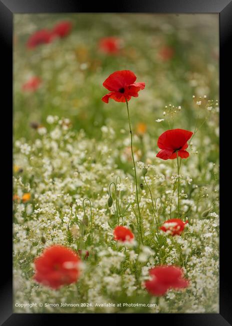 Cotswolds Summer Poppies Landscape Framed Print by Simon Johnson