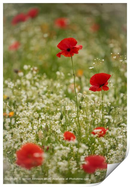 Cotswolds Summer Poppies Landscape Print by Simon Johnson