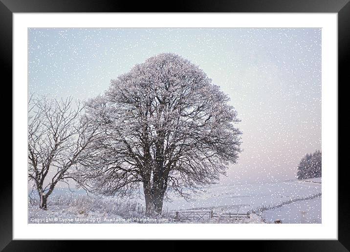 A Winter Scene Framed Mounted Print by Lynne Morris (Lswpp)