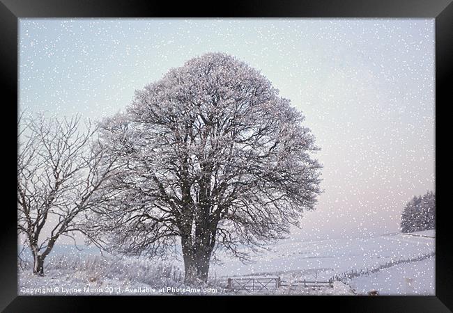 A Winter Scene Framed Print by Lynne Morris (Lswpp)
