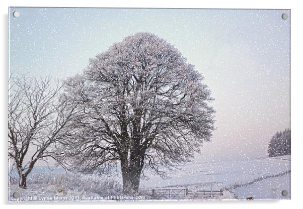 A Winter Scene Acrylic by Lynne Morris (Lswpp)