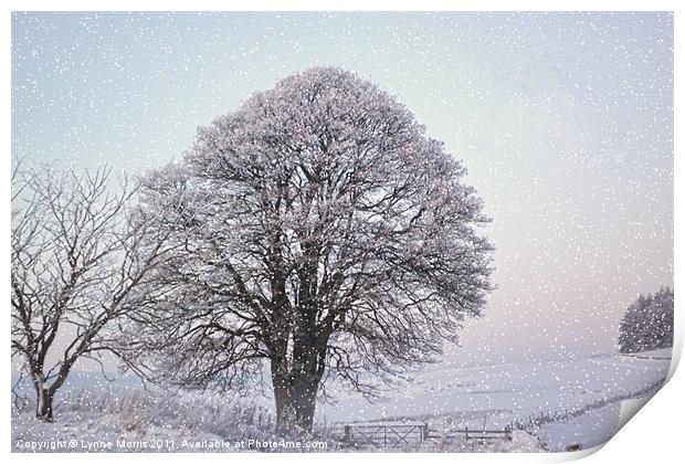 A Winter Scene Print by Lynne Morris (Lswpp)