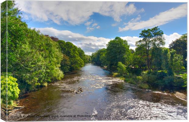 River Wharfe Ilkley Canvas Print by Alison Chambers