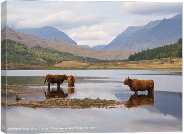 Beinn Eighe Highland Cattle Canvas Print by Janet Carmichael
