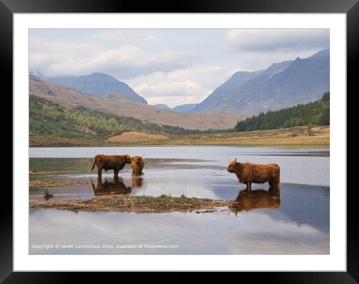 Beinn Eighe Highland Cattle Framed Mounted Print by Janet Carmichael