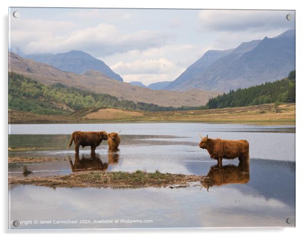 Beinn Eighe Highland Cattle Acrylic by Janet Carmichael