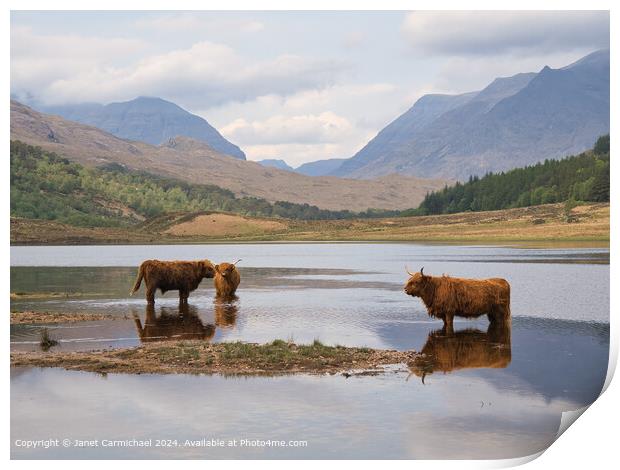Beinn Eighe Highland Cattle Print by Janet Carmichael