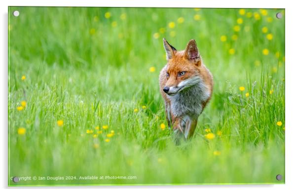 Fox Forest Green Acrylic by Ian Douglas
