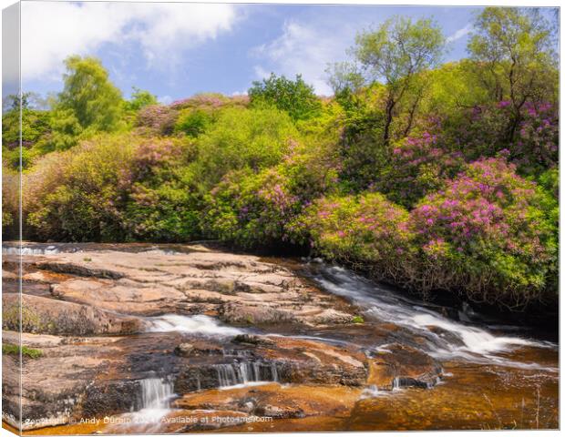 River Avon Waterfall Dartmoor Canvas Print by Andy Durnin