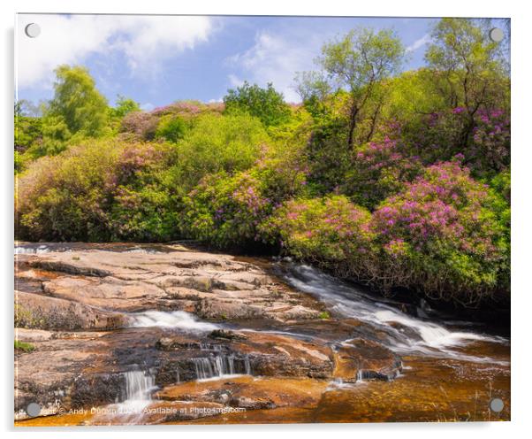 River Avon Waterfall Dartmoor Acrylic by Andy Durnin