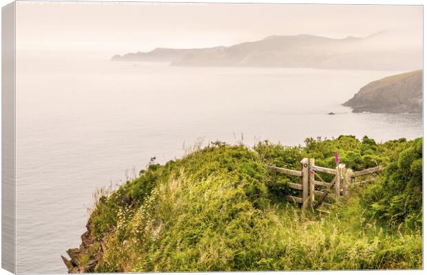 Strumble Head  Canvas Print by geoff shoults