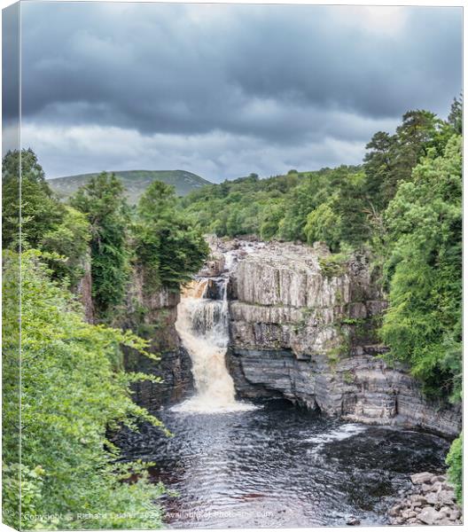 High Force Waterfall, Upper Teesdale Canvas Print by Richard Laidler