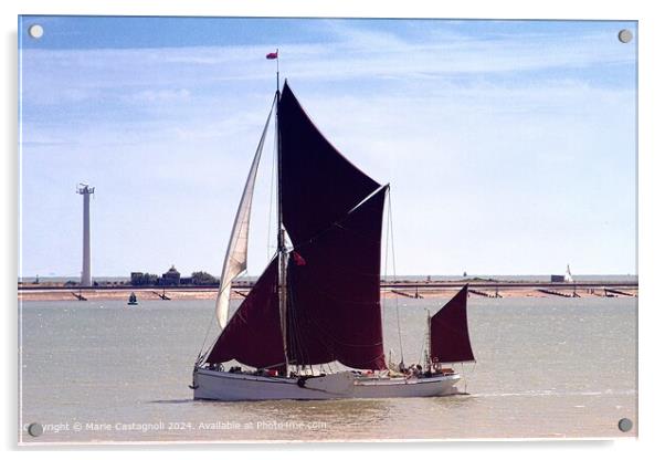 Thames Sailing Barge Acrylic by Marie Castagnoli