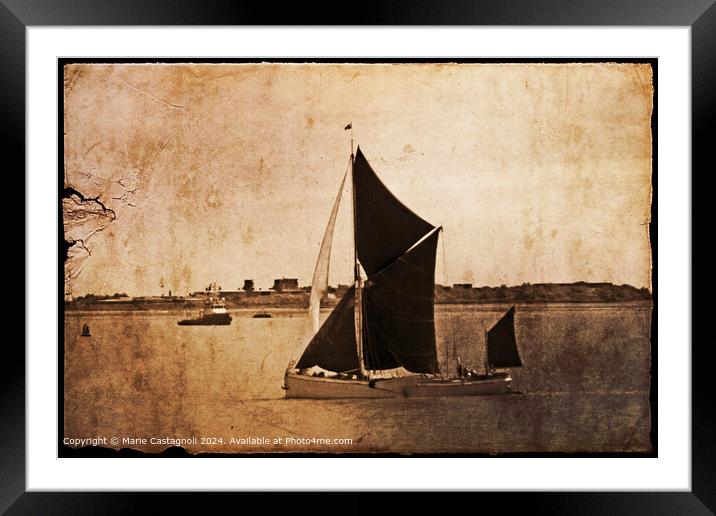 Thames Barge Race Framed Mounted Print by Marie Castagnoli