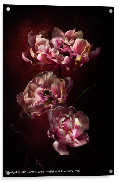 Pink Star Tulip Trio Acrylic by Ann Garrett