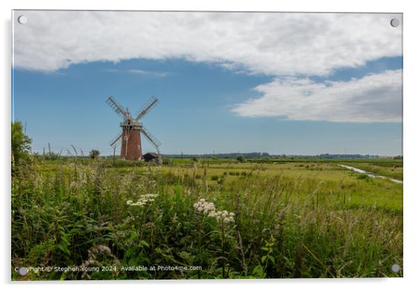 Horsey Windpump Norfolk Broads Landscape Acrylic by Stephen Young