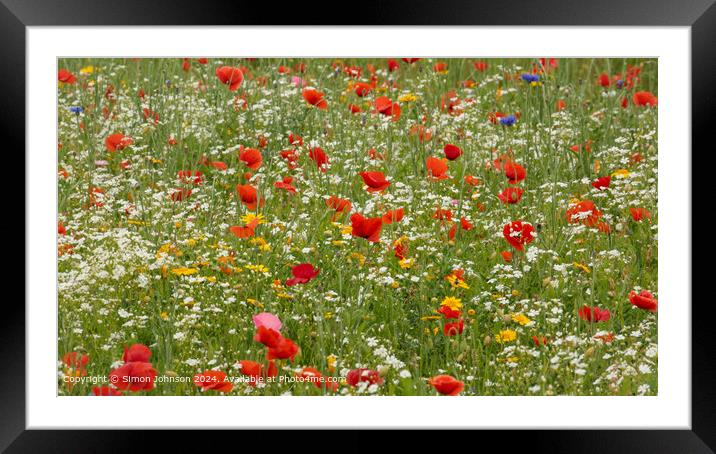 Poppy Meadow, Cotswolds, Gloucestershire Framed Mounted Print by Simon Johnson