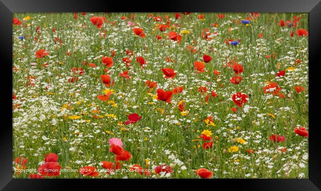 Poppy Meadow, Cotswolds, Gloucestershire Framed Print by Simon Johnson