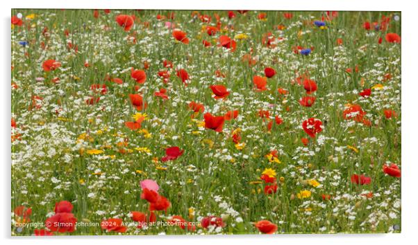 Poppy Meadow, Cotswolds, Gloucestershire Acrylic by Simon Johnson