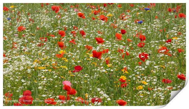 Poppy Meadow, Cotswolds, Gloucestershire Print by Simon Johnson