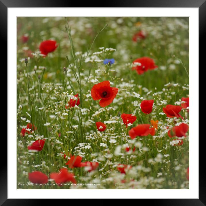 Cotsowlds Meadow Poppy Framed Mounted Print by Simon Johnson