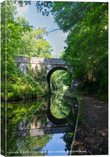 Staffordshire Canal Bridge Reflection Canvas Print by Richard O'Donoghue