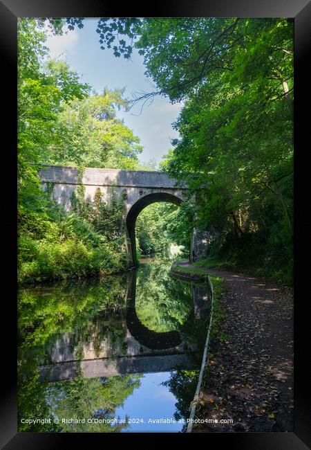 Staffordshire Canal Bridge Reflection Framed Print by Richard O'Donoghue