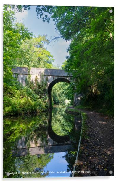 Staffordshire Canal Bridge Reflection Acrylic by Richard O'Donoghue