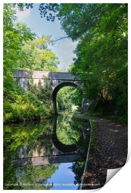 Staffordshire Canal Bridge Reflection Print by Richard O'Donoghue