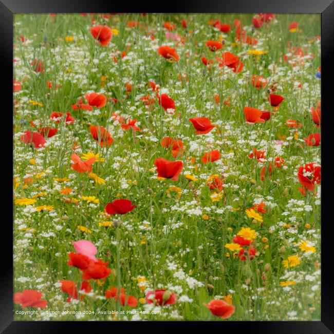 Cotsowlds Poppy Meadow Landscape (soft focus) Framed Print by Simon Johnson