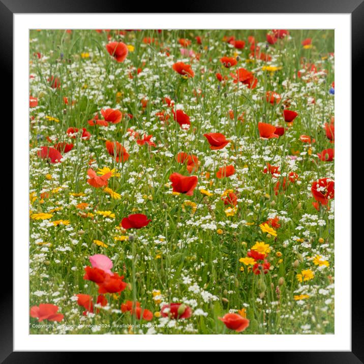 Poppy Meadow Cotsowlds: Vibrant Nature Scene Framed Mounted Print by Simon Johnson