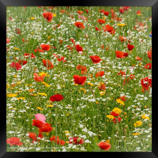 Poppy Meadow Cotsowlds: Vibrant Nature Scene Framed Print by Simon Johnson