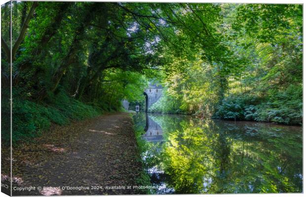 Staffordshire Canal Reflection Canvas Print by Richard O'Donoghue