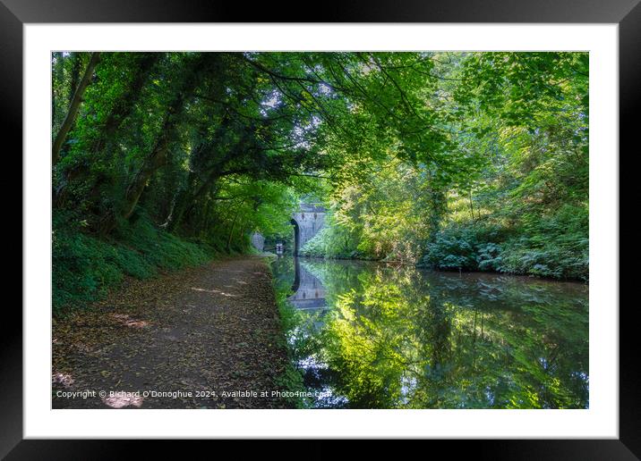 Staffordshire Canal Reflection Framed Mounted Print by Richard O'Donoghue