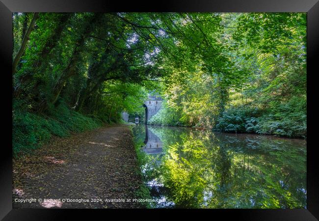 Staffordshire Canal Reflection Framed Print by Richard O'Donoghue
