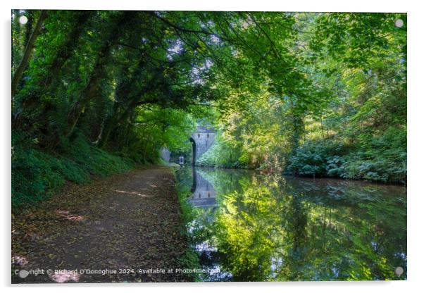 Staffordshire Canal Reflection Acrylic by Richard O'Donoghue