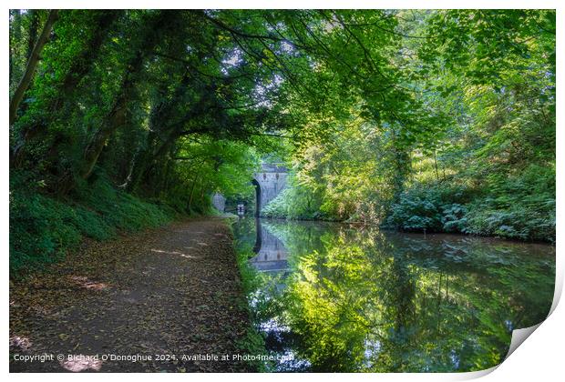 Staffordshire Canal Reflection Print by Richard O'Donoghue
