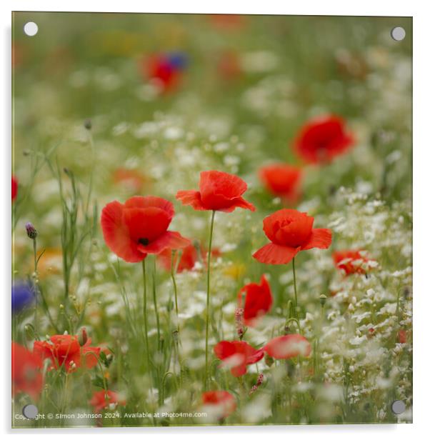 Cotsowlds Meadow Poppy Acrylic by Simon Johnson